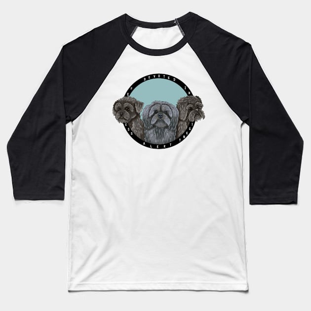 Affenpinscher dog Baseball T-Shirt by Artbychb